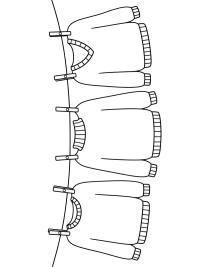 Pulls suspendus à une corde à linge