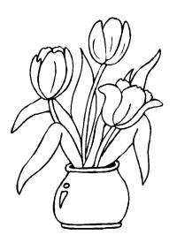 tulipes dans un vase