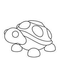 Tortue (Adopt Me!)