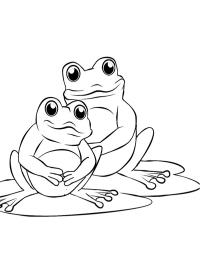Deux grenouilles
