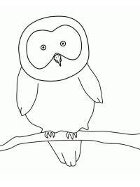 Hibou simple