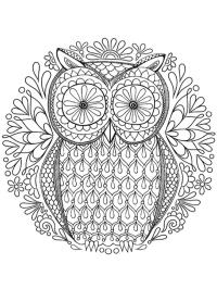 mandala hibou