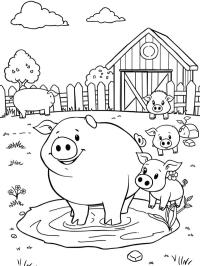 Cochons à la ferme
