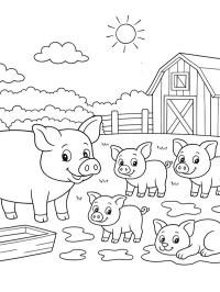 Ferme porcine