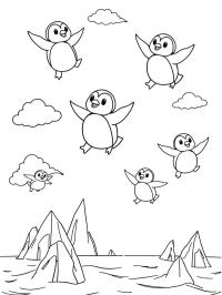 Pingouins volants