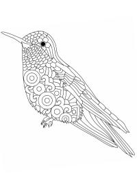 Mandala oiseau