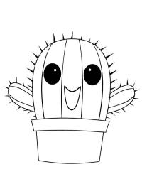 Cactus joyeux