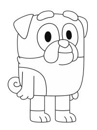 Bouledogue anglais Winton (Bluey)
