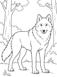 Loup dans la for&ecirc;t
