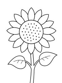 Tournesol pour les tout-petits