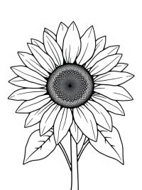 Tournesol