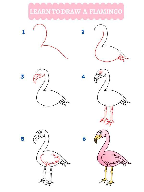 Comment dessiner un flamant rose