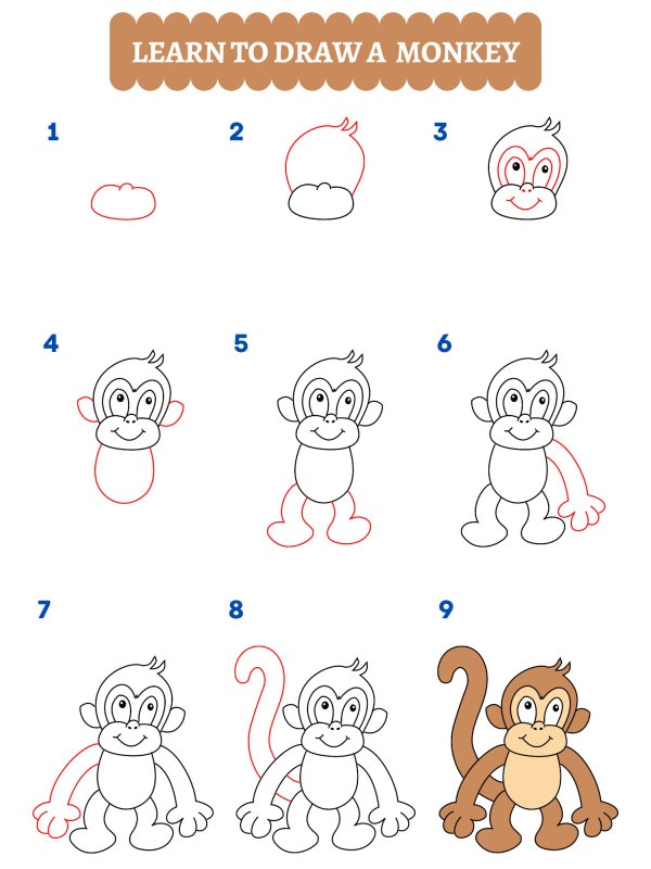 Comment dessiner un singe