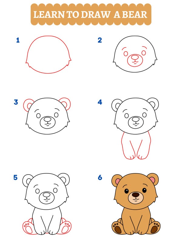 Comment dessiner un ours