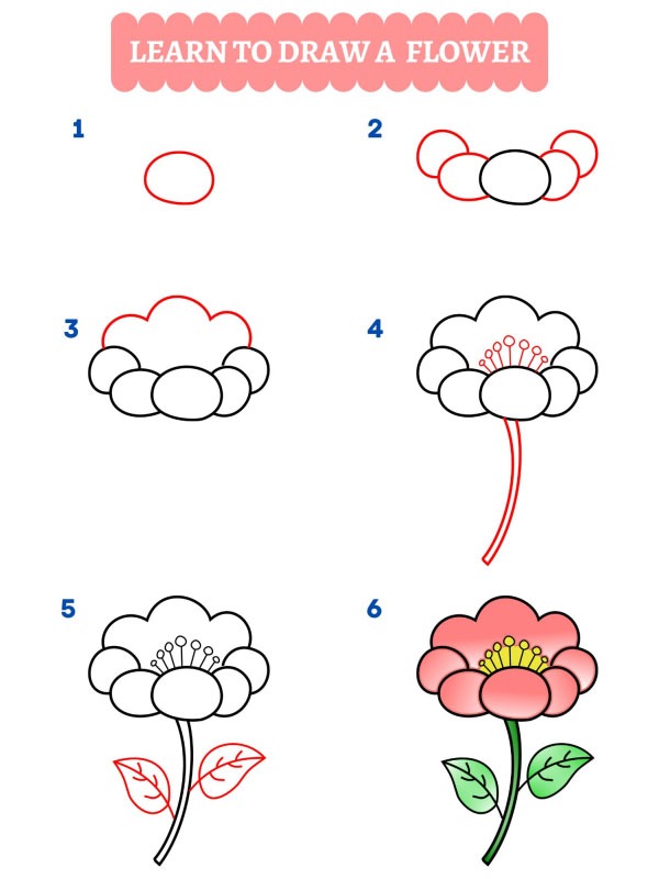 Comment dessiner une fleur
