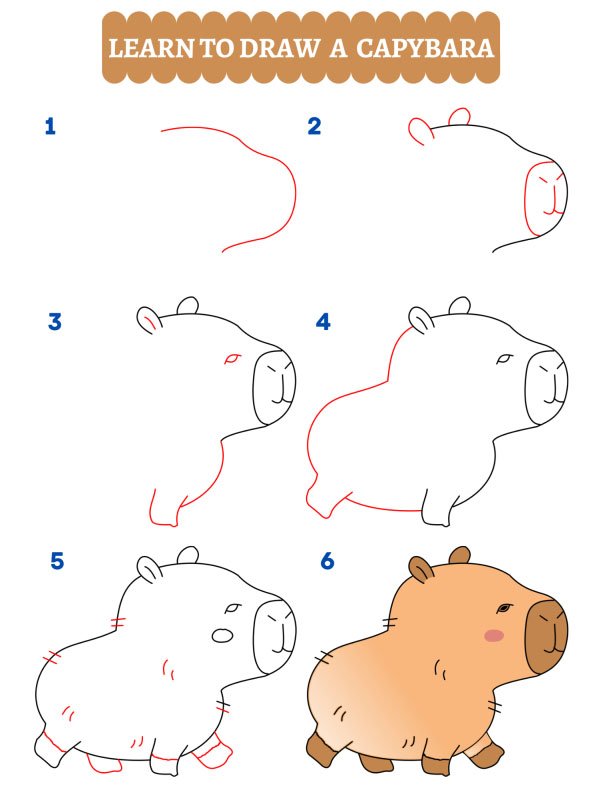 Comment dessiner un capybara