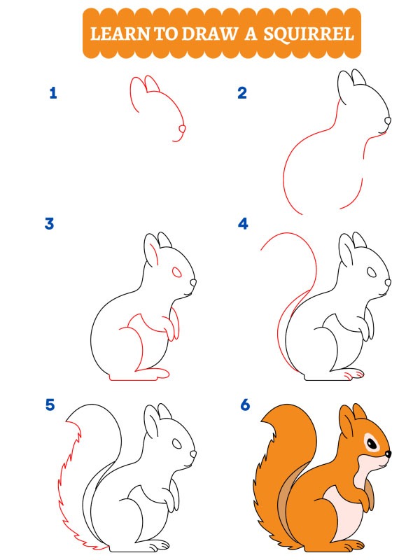 Comment dessiner un écureuil