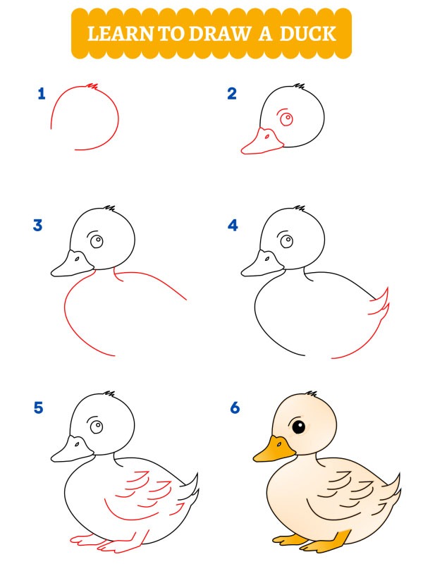 Comment dessiner un canard