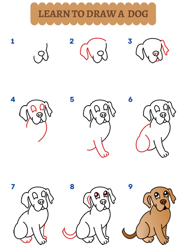 Comment dessiner un chien