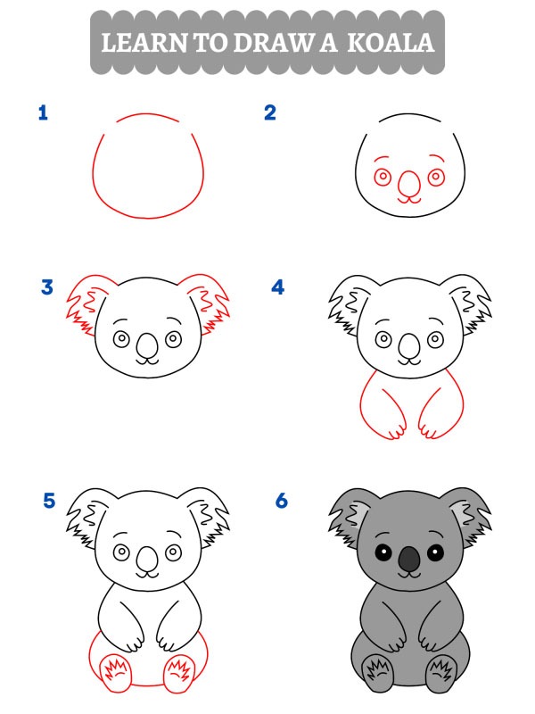 Comment dessiner un koala