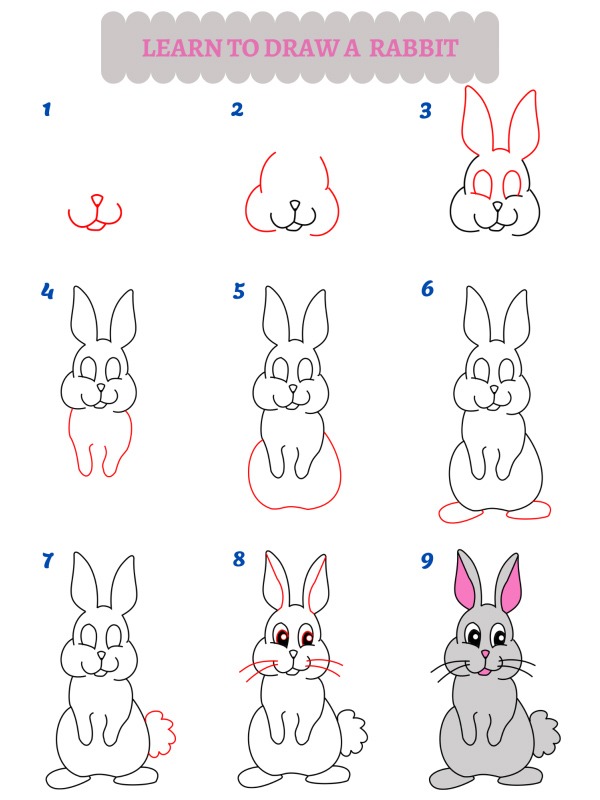 Comment dessiner un lapin ?