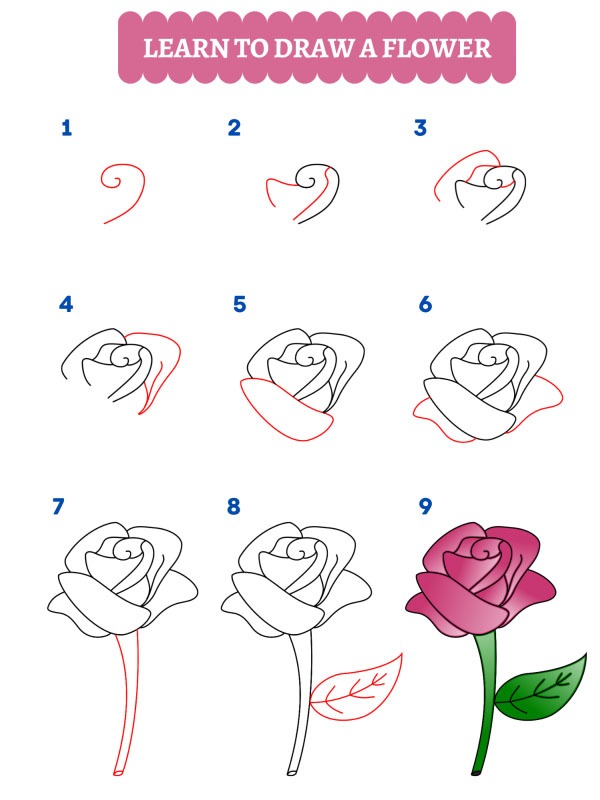 Comment dessiner une rose