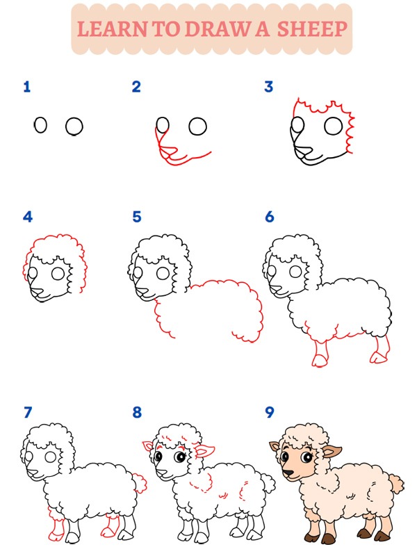 Comment dessiner un mouton