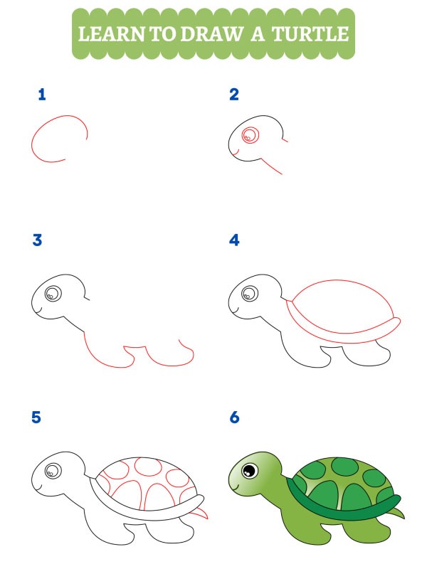 Comment dessiner une tortue