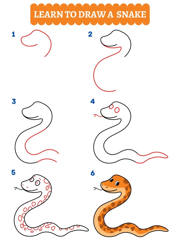 Comment dessiner un serpent?