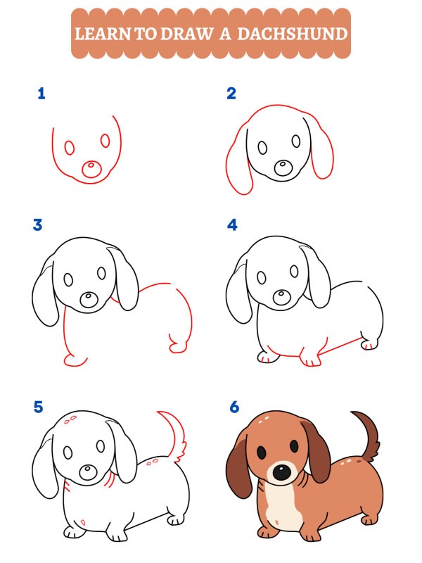Comment dessiner un teckel