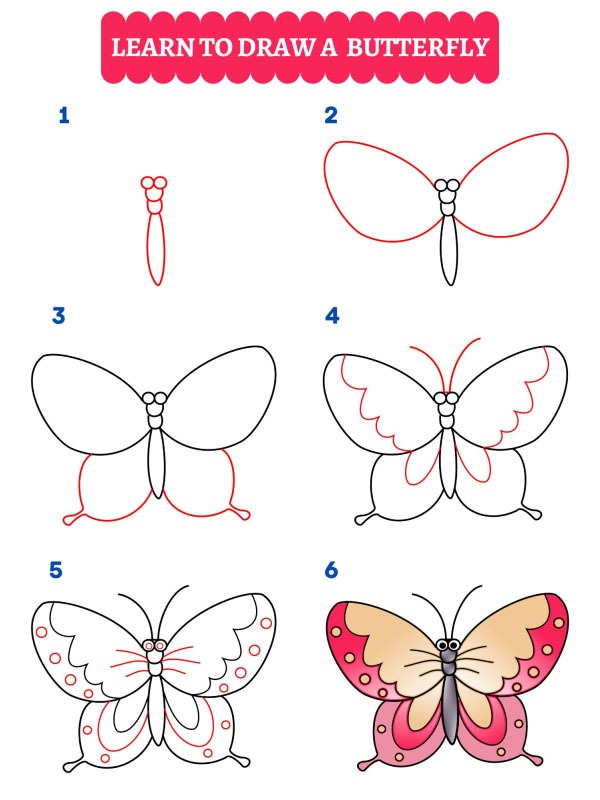 Comment dessiner un papillon