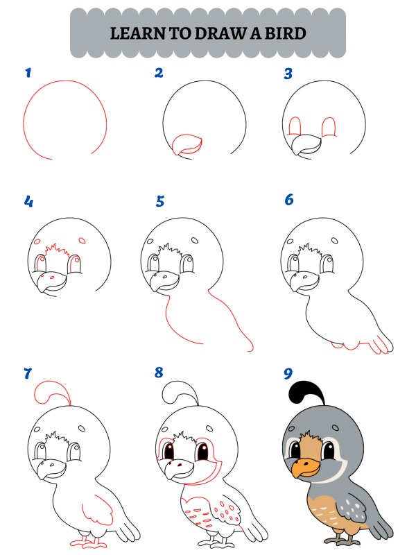 Comment dessiner un oiseau ?