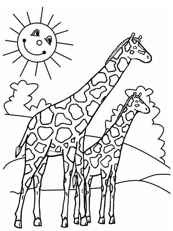 Deux girafes Coloriage