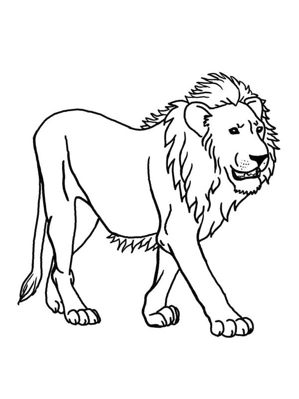 Lion Coloriage