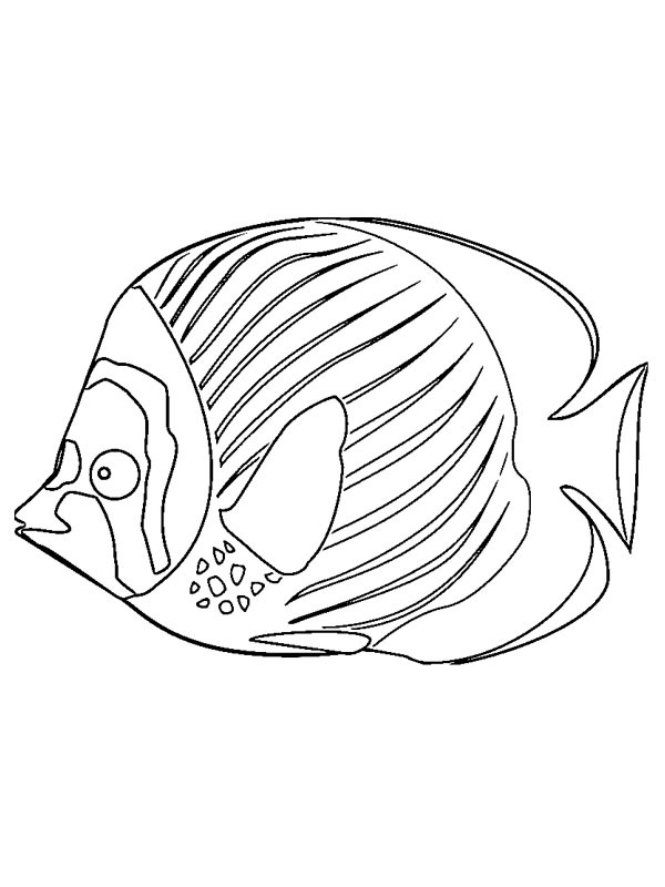 poisson Coloriage poisson Coloriage