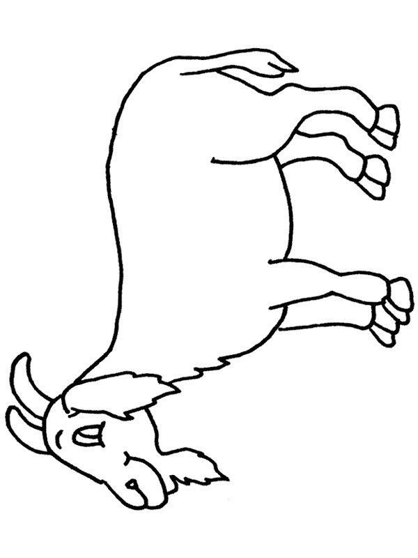 chèvre Coloriage