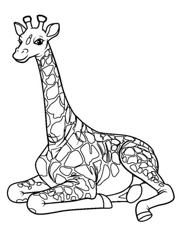 Girafe Coloriage