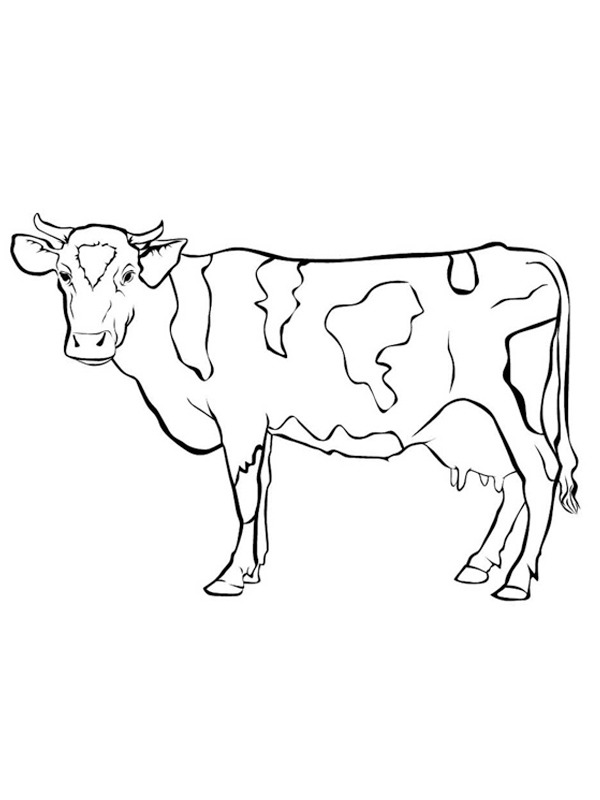 Vache Coloriage