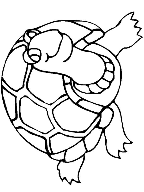 Tortue Coloriage