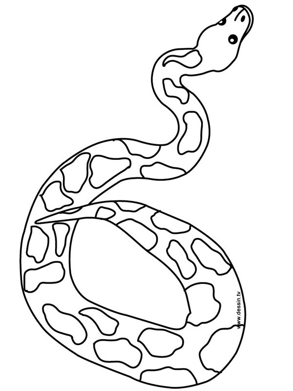 Serpent Coloriage