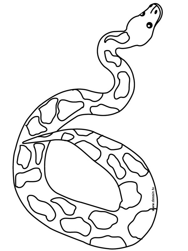 Serpent Coloriage Serpent Coloriage