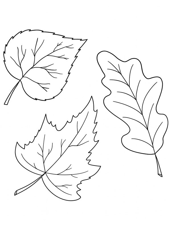 3 feuilles d'automne Coloriage 3 feuilles d'automne Coloriage
