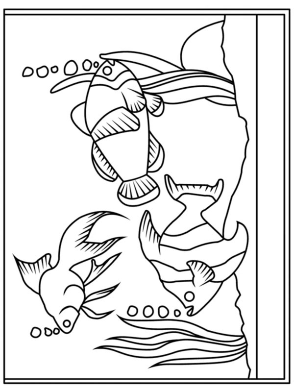 Aquarium Coloriage Aquarium Coloriage