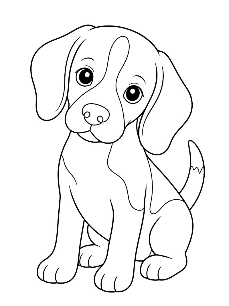 Chiot Beagle Coloriage Chiot Beagle Coloriage