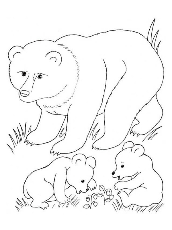 Ours avec oursons Coloriage Ours avec oursons Coloriage