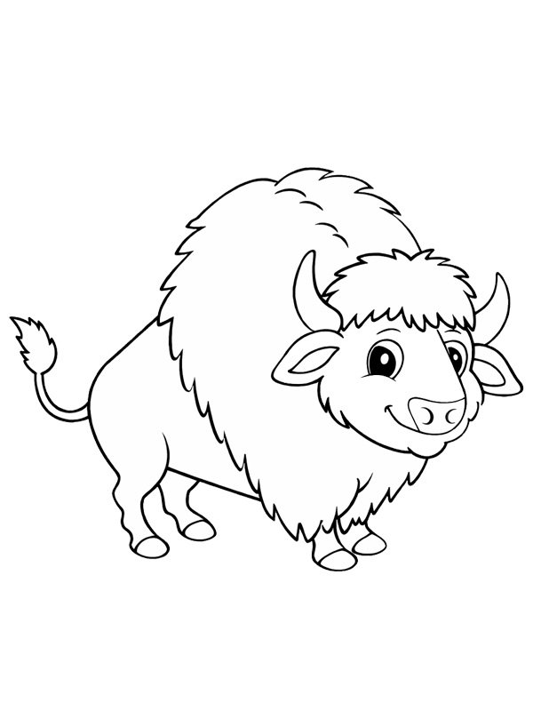Bison Coloriage