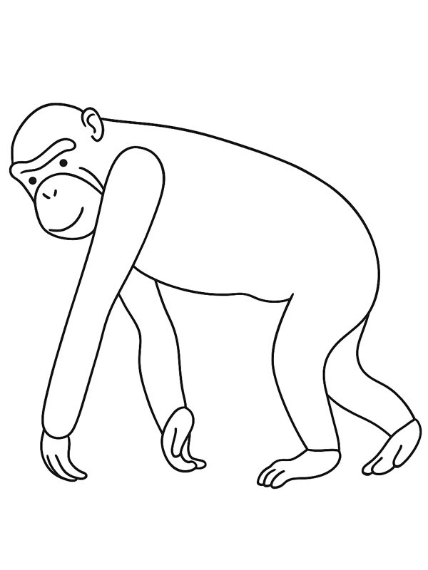 Bonobo Coloriage