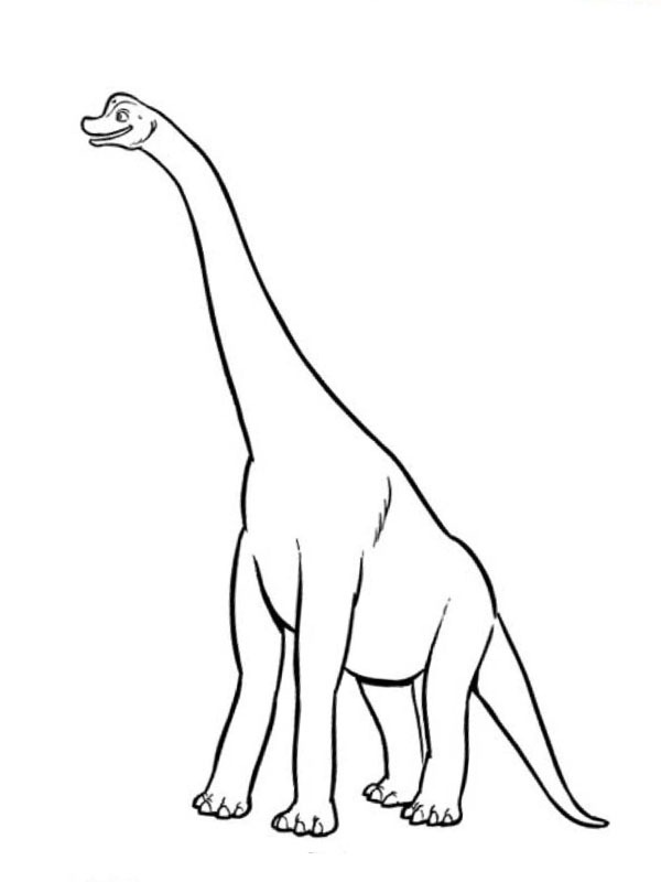 Brachiosaurus Coloriage