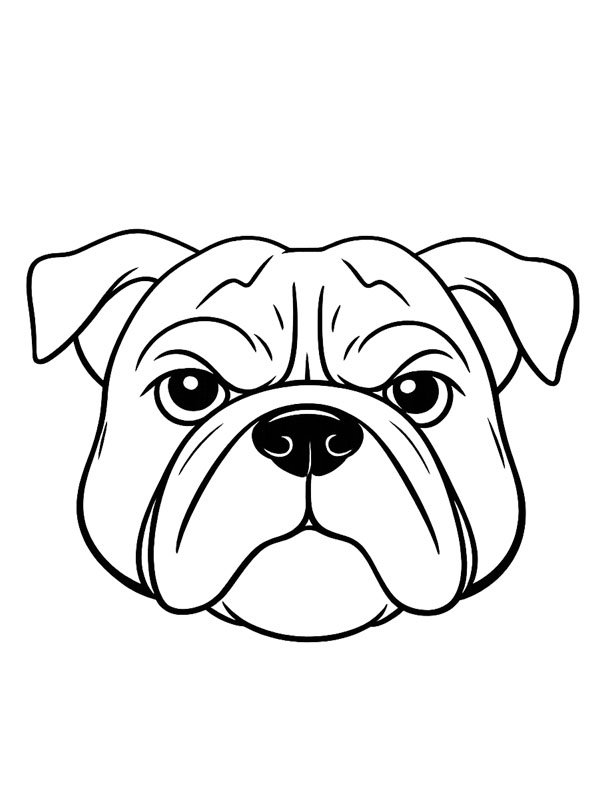 T&ecirc;te bulldog Coloriage