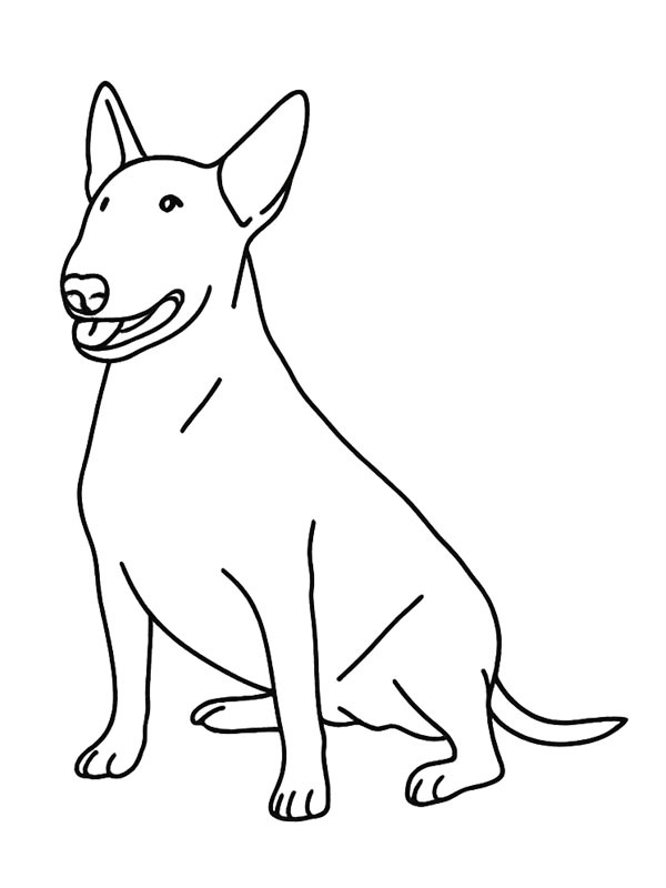 Bull terrier Coloriage Bull terrier Coloriage